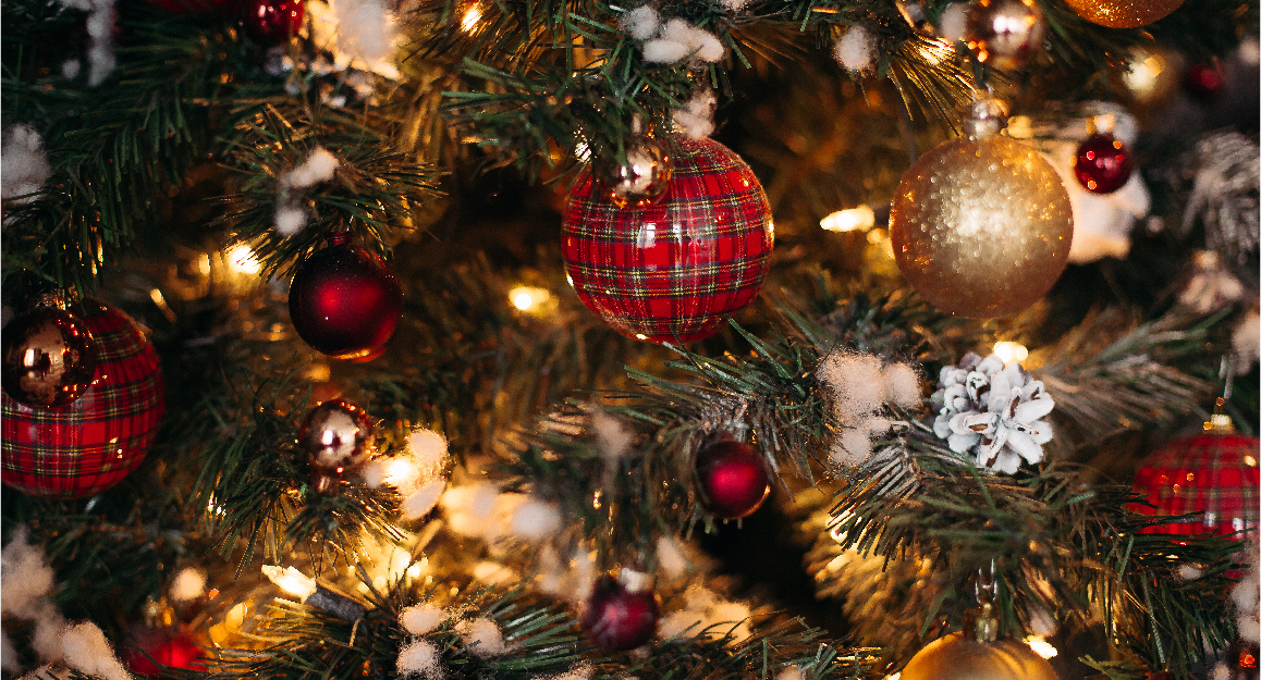 Christmas Tree Lighting